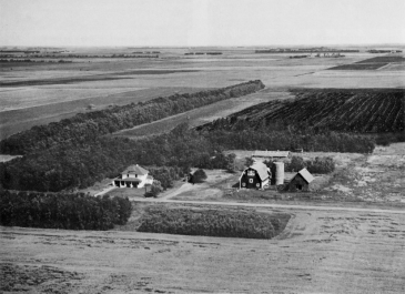 Arthur - "Mr. and Mrs. Rollo Winings farm in Gunkel Township. It was the Rush River Soil Conservation District award winner in 1962." 	One Hundred Years with Arthur: Arthur Centennial, 1882-1982 (p 96)
