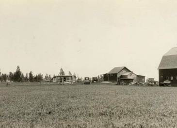 Berlin 1915 - Busch, Berning and Bernard Family Papers - Busch farmstead from the south (60 miles SW Jamestown) 