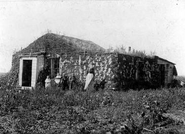 Nome 1887 - A - A Collection - Gjesvold Family sod house