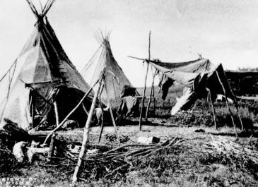 Emmons County 1905 - Emmons County Historical Society - Photograph Collection Sioux tipis