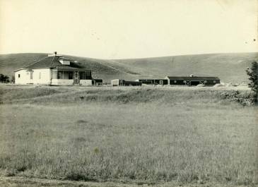 Burleigh County Hay Creek Township 1910 - Lynn W. Sperry Family Papers - E. H. Sperry’s farm house, Holmboe photograph 