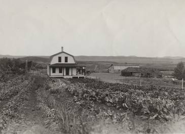 Morton County 1920 - Melvin R. Gilmore Farm 
