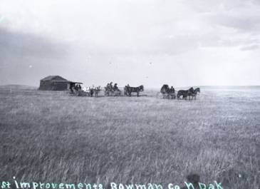 Bowman - Photo of a sod home with one window. The home is on a prairie with not a single tree in sight