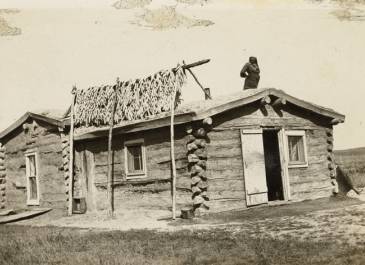 1920 - SHS Will Family Papers - Arikara woman drying corn on the top of her house